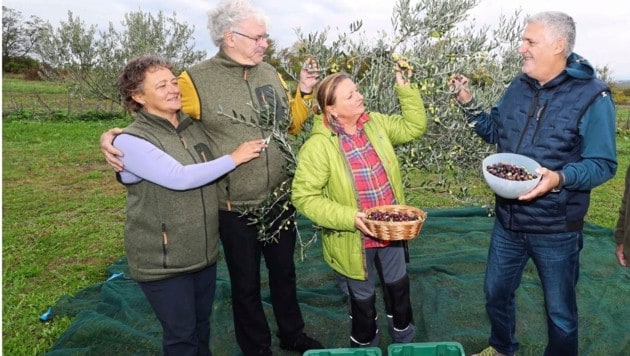 Köstliche Oliven à la Ruster Hügelland