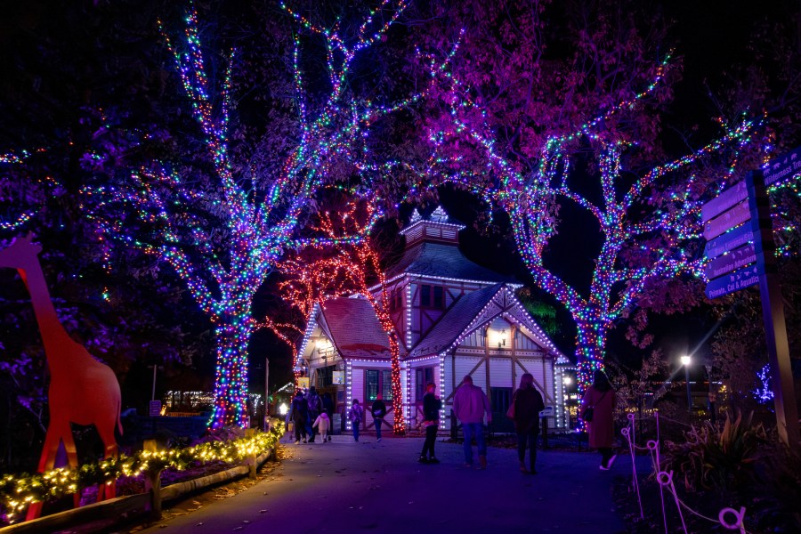 Tree lightings, displays, markets to attend in NE Ohio this holiday season