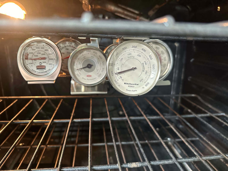 The Best Oven Thermometer Will De-Fraud Your Oven