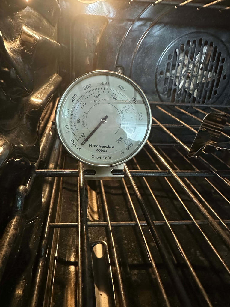 The Best Oven Thermometer Will De-Fraud Your Oven