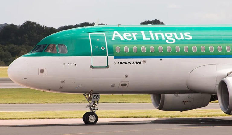 Aer Lingus announce major new feature which will enhance locating delayed baggage