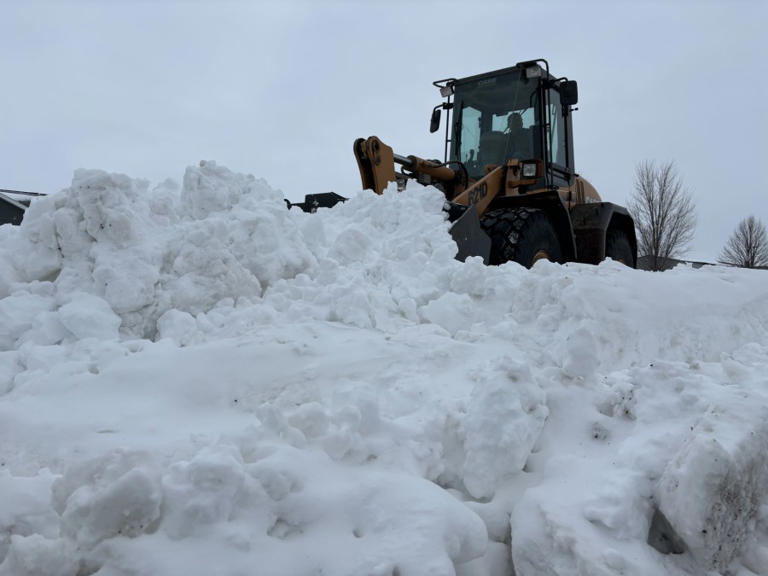 NOAA releases 202425 winter weather outlook What to expect for South