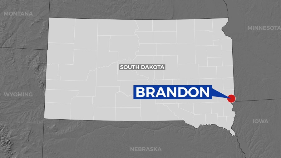Brandon man faces counts of rape