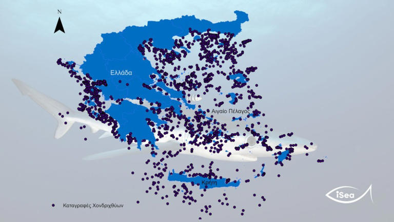 Γέμισαν καρχαρίες και σαλάχια οι ελληνικές θάλασσες - Αυτός είναι ο χάρτης - 1