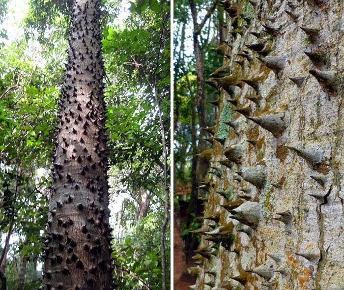 30 times Mother Nature proved to be scary as hell