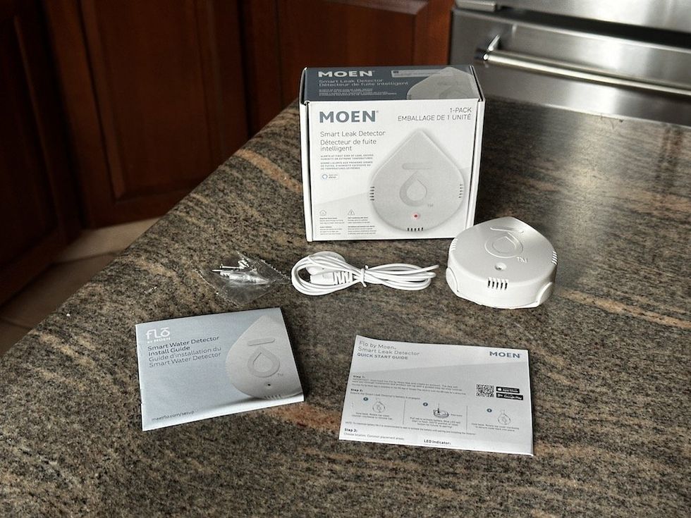 Moen Smart Leak Detector Review