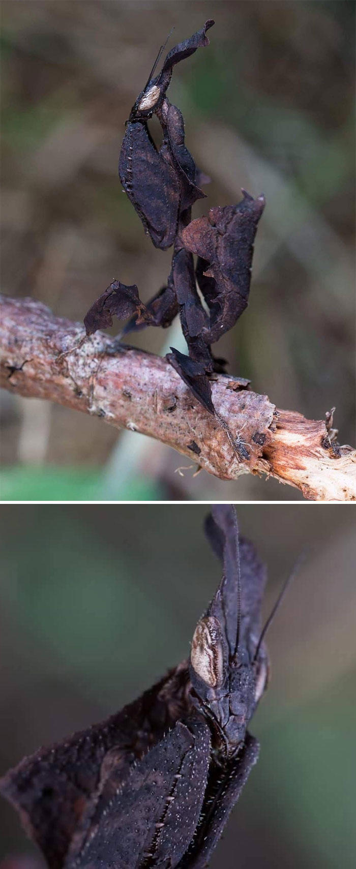 30 times Mother Nature proved to be scary as hell