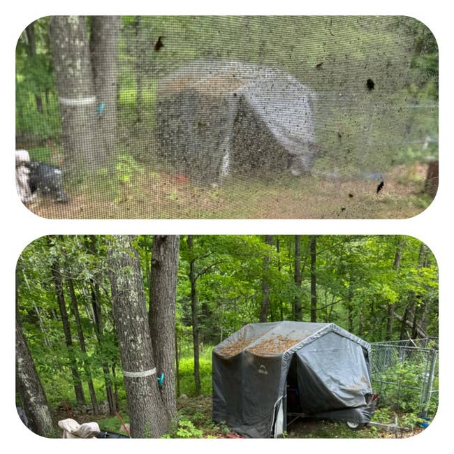 Two photos show a tarp-covered structure in a wooded area. The second image is clearer, taken through a mesh screen