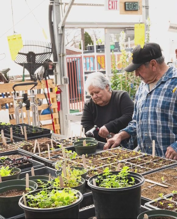 Cornucopia Adult And Family Services Launching Plant Shop