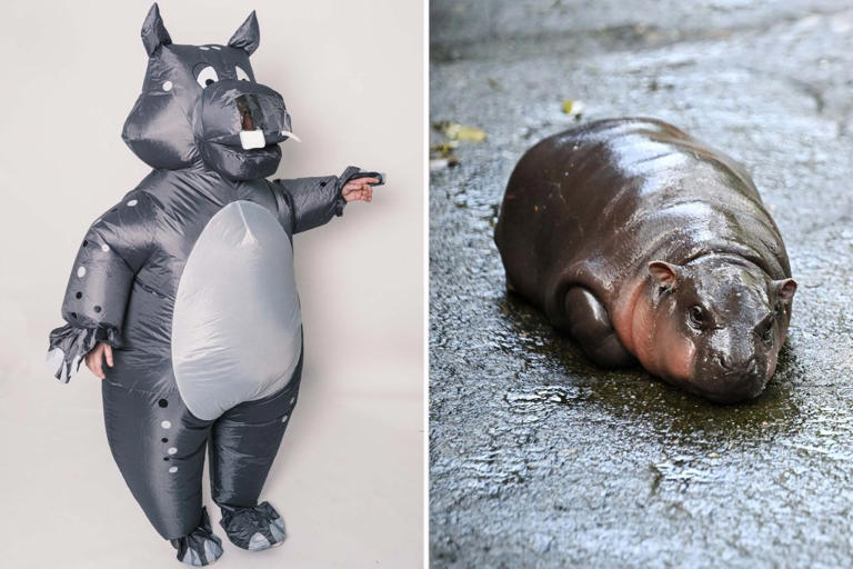 You can’t see Copy Editor Maude Campbell in this inflatable hippo costume ($30 at Halloween.com) but she’s just as adorable as Moo Deng. Stephen Yang for N.Y.Post (left)