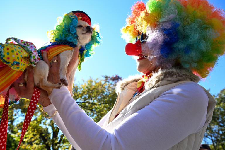 Tompkins Square Halloween Dog Parade returns for 34th annual costume ...