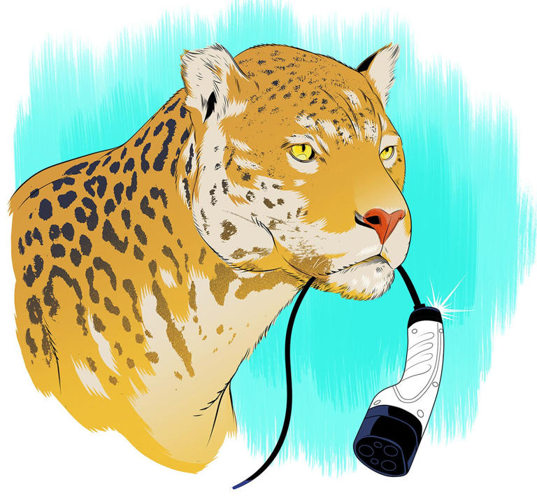 Is Jaguar Taking a Cat Nap, or Is the Brand in Real Trouble?