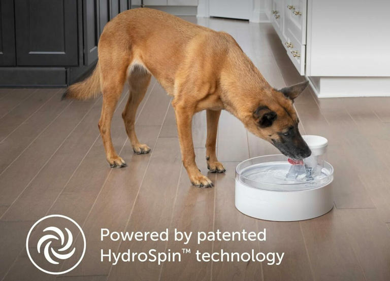 2024 Holiday Gift Guide for Pet Lovers