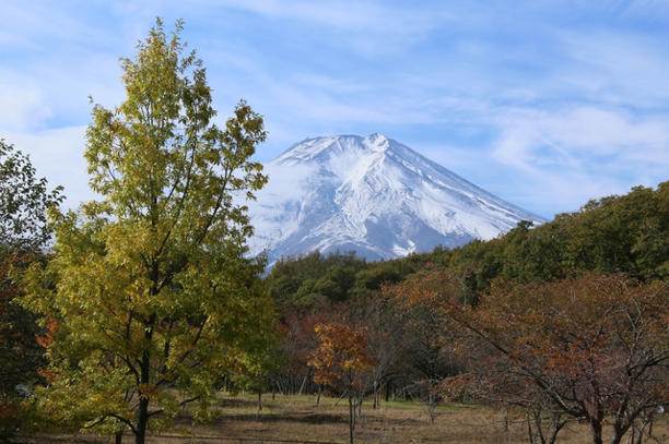 山梨県富士吉田市の富士散策公園からみた富士山。ハザードマップの資料編によれば、ここから南へおよそ500mの東富士富士五湖道路には、計算上では噴火後最短6分で火砕流が到達すると予測されている photo by hidetosi