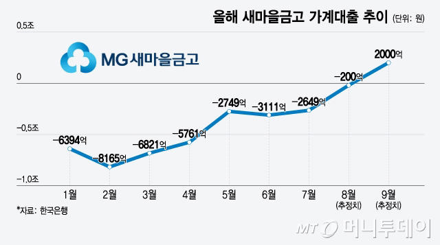 [단독]새마을금고만 대출규제 '열외'…'풍선효과' 이유 있었다