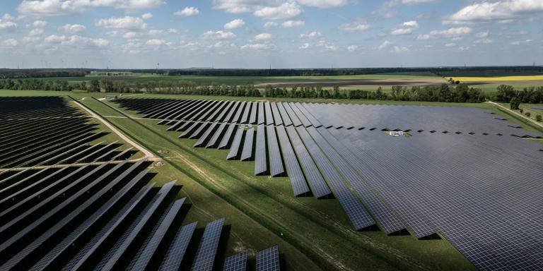Ein Solarpark des Energieversorgers EnBW nahe Grischow in Mecklenburg-Vorpommern Maja Hitij/Getty Images