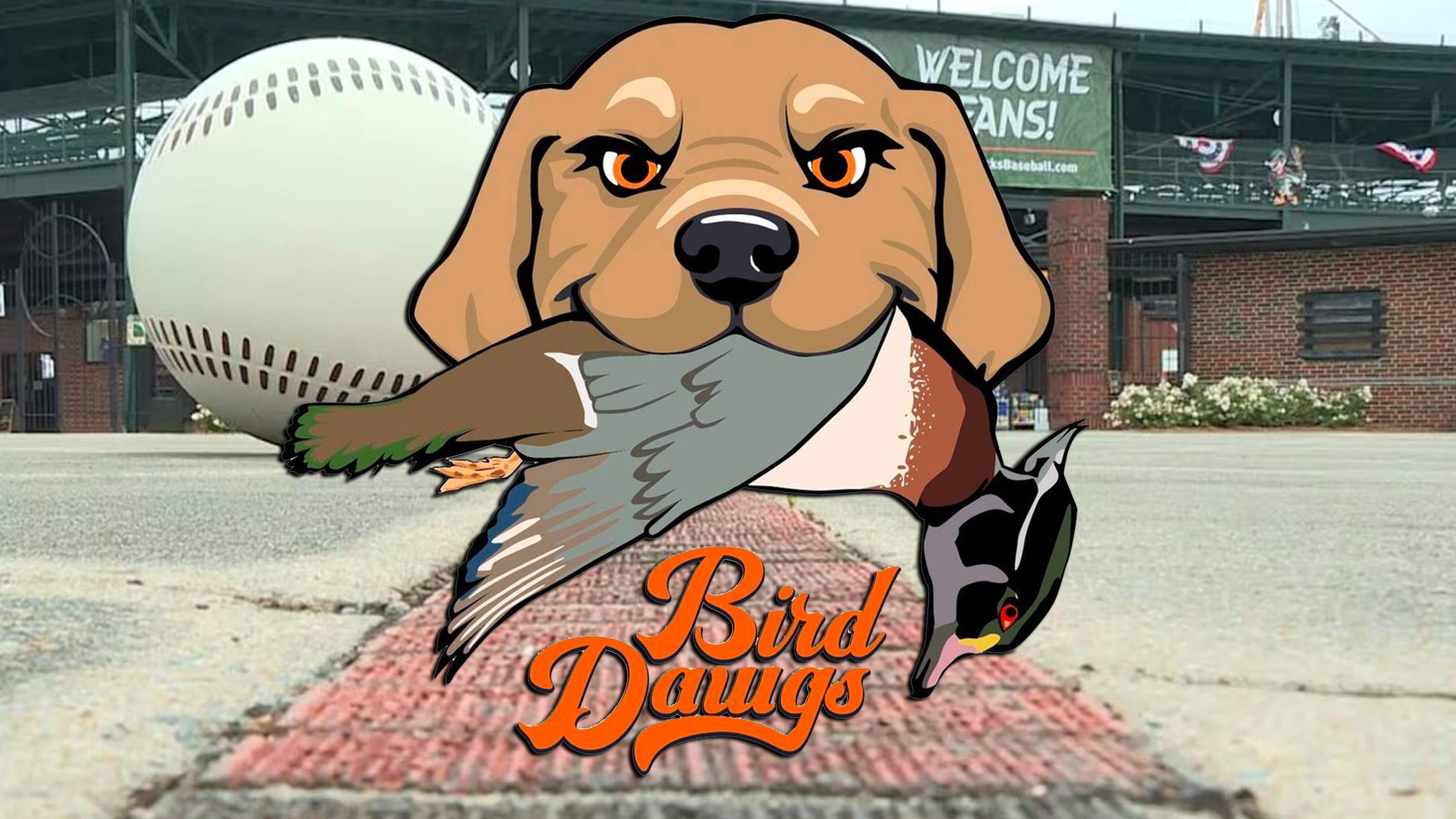 bird-dawgs-announce-2025-promotional-season-schedule