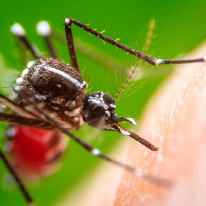 The 10 Most Dangerous Bugs You Need to Avoid