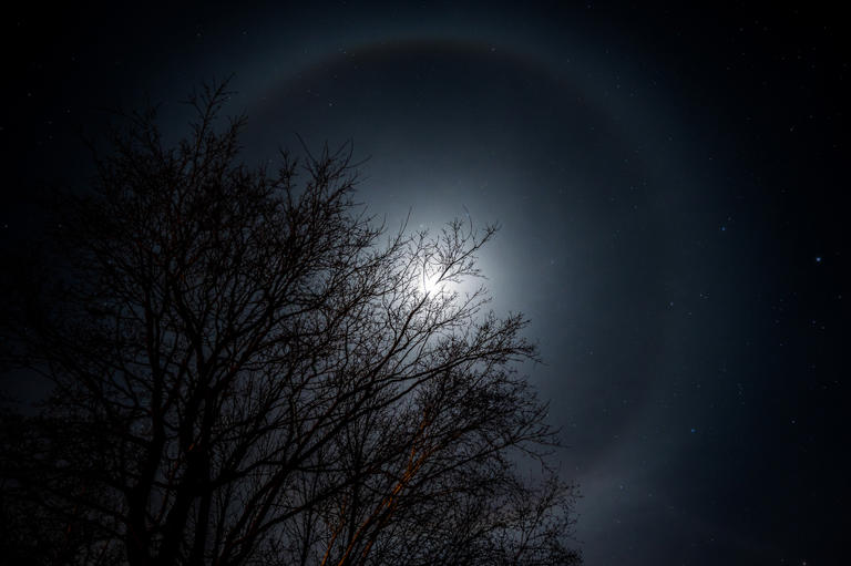 Halloween isn't far off–here are four of Canada's spookiest kinds of ...