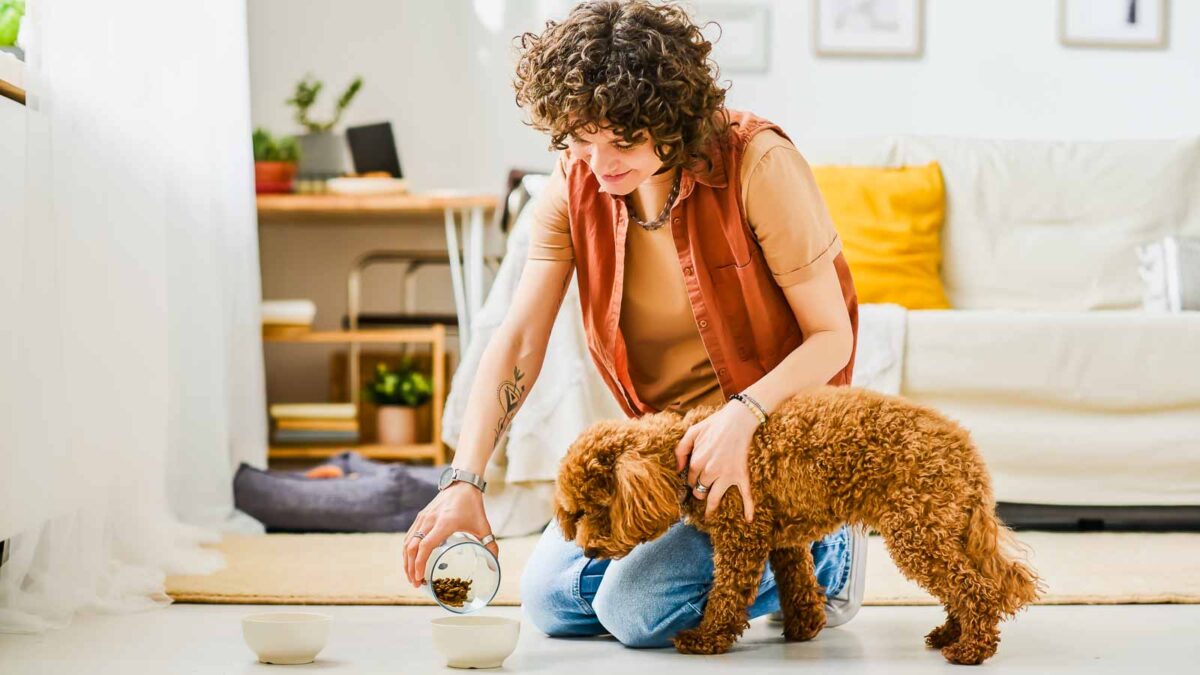 13-must-ask-questions-before-trusting-your-dog-with-a-sitter