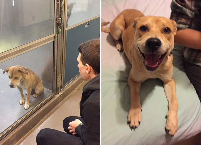 #3 What A Difference One Day Can Make. Meet Spokey