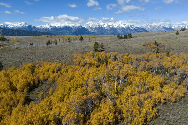 Wyoming moves ahead with selling land in Grand Teton National Park to ...