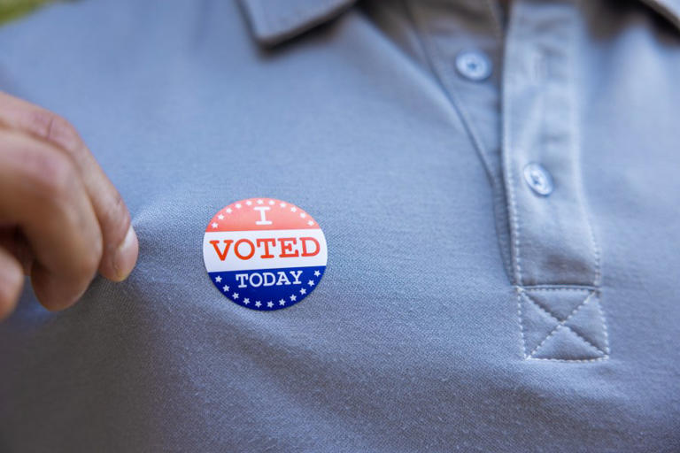 Here’s how many people voted in the 2024 West Virginia general election