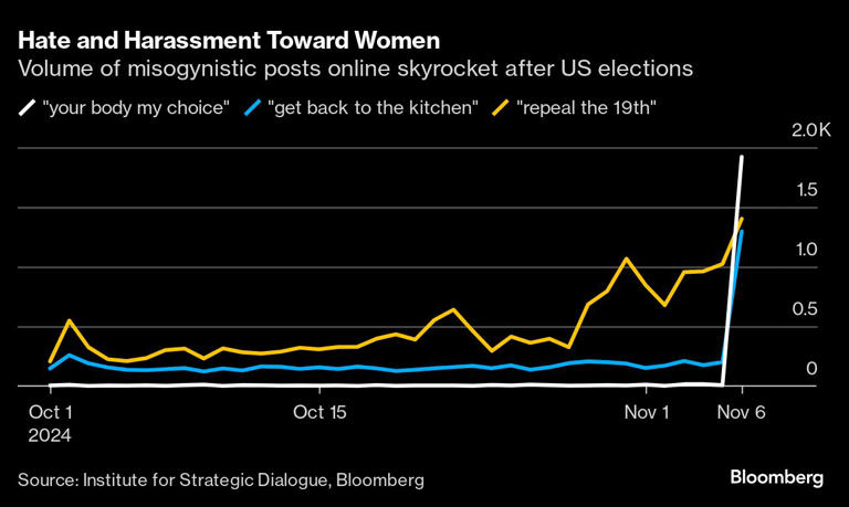 ‘Your Body, My Choice’: Harassment Toward Women Surges Online After Election Day (msn.com)