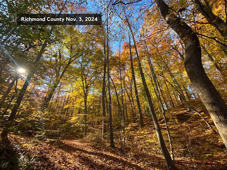 Dry conditions affecting fall foliage; last report of 2024