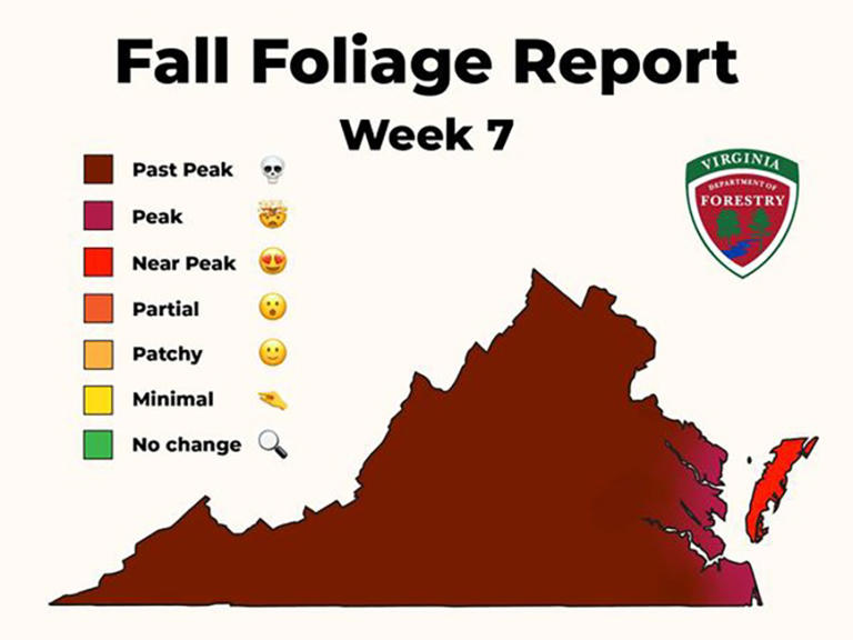 Dry conditions affecting fall foliage; last report of 2024