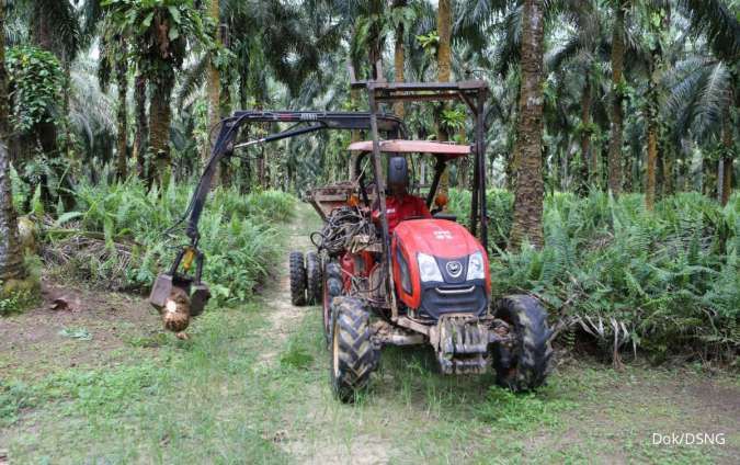 Kinerja DSNG Hingga Kuartal III-2025 Terungkap