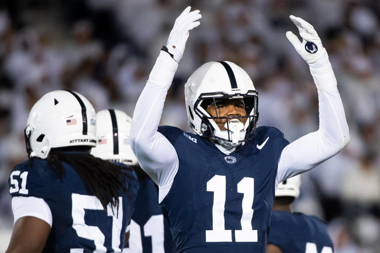 what-is-a-nittany-lion-diving-into-the-history-behind-penn-state-s