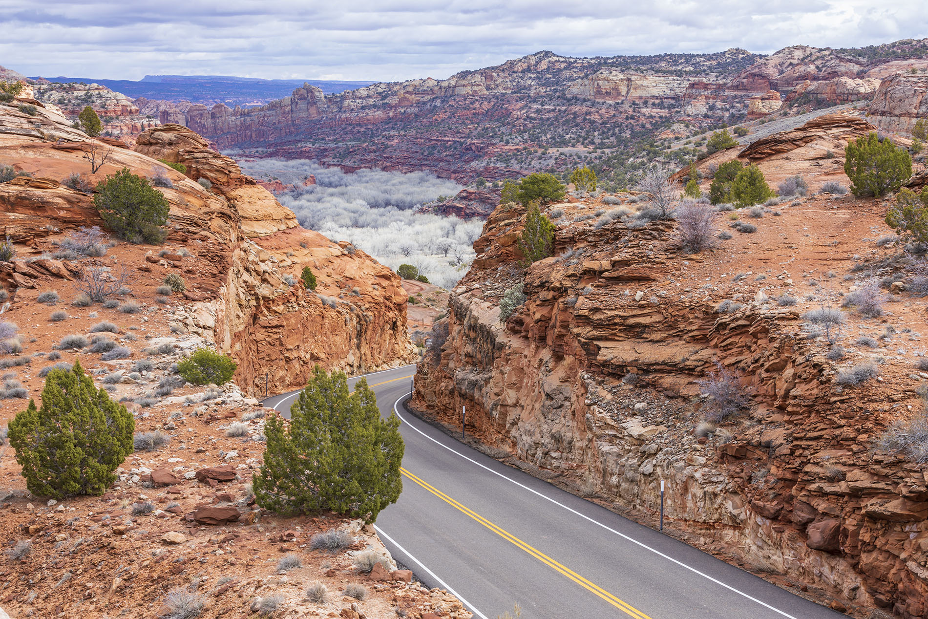 United States: 5 breathtaking roads to explore Western National Parks