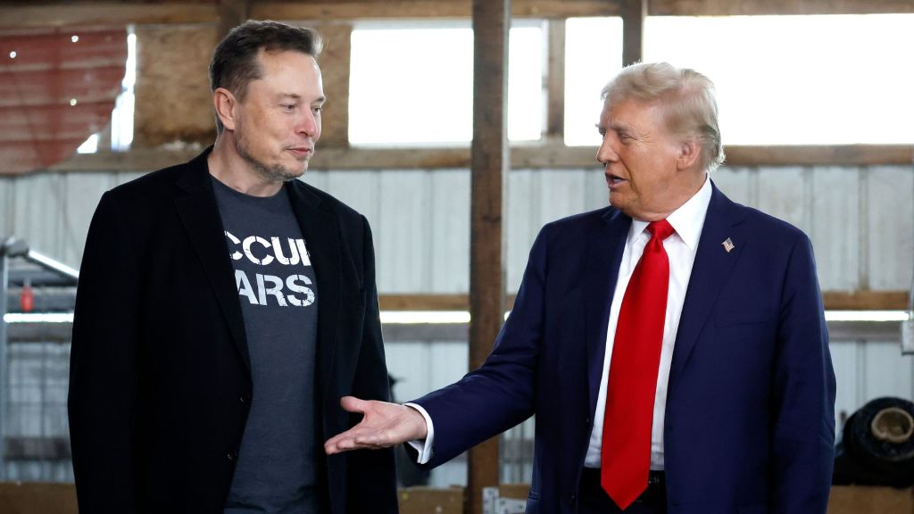 Trump picks ‘wonderful American’ Elon Musk to lead new efficiency
