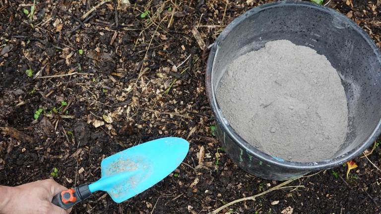 person holding shovel with wood ash in garden