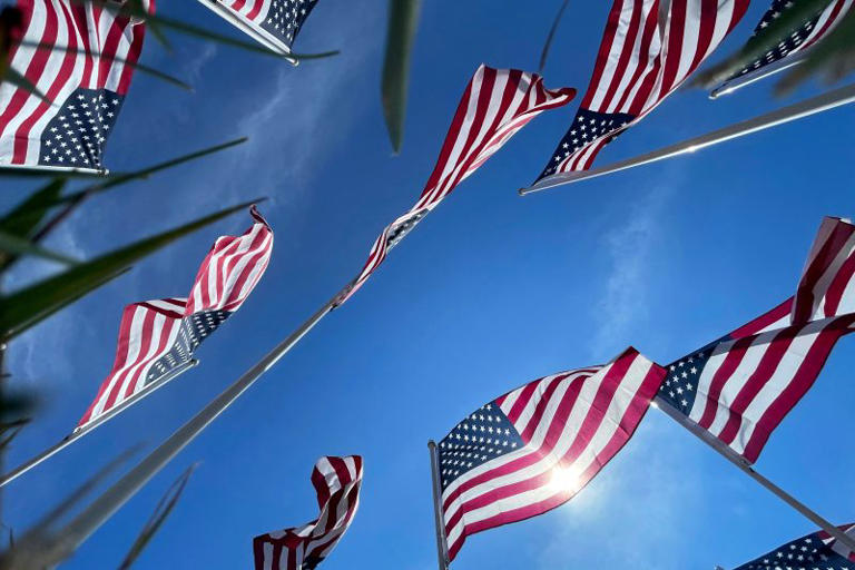 Veterans Day 2024 Freebies and deals for all that served