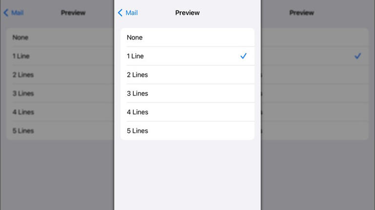 A screenshot of the Preview length options in an iPhone