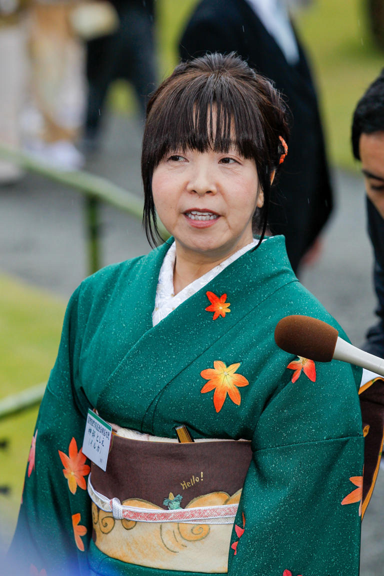 袋帯 菊 松竹梅 藤 唐織 華やか 着物 123a d タフ 袋帯 菊 松竹梅 藤 唐織 華やか 着物 123a d タフ