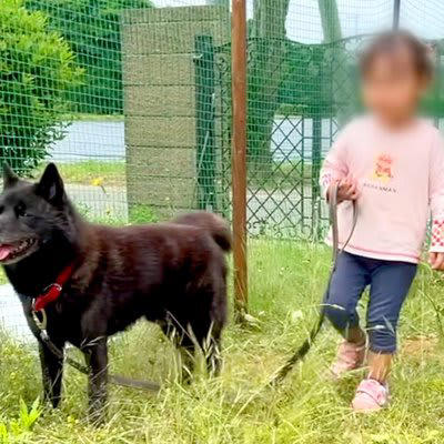 安い 子供 犬のリード 持たせない