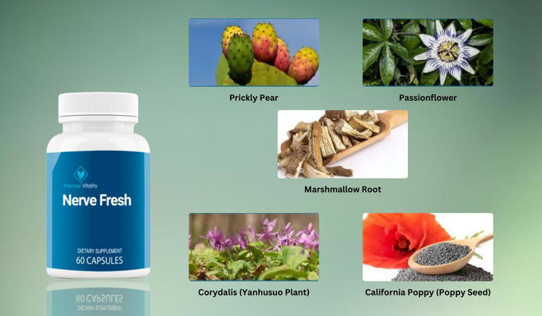 Nerve Fresh Reviews: nerve fresh ingredients