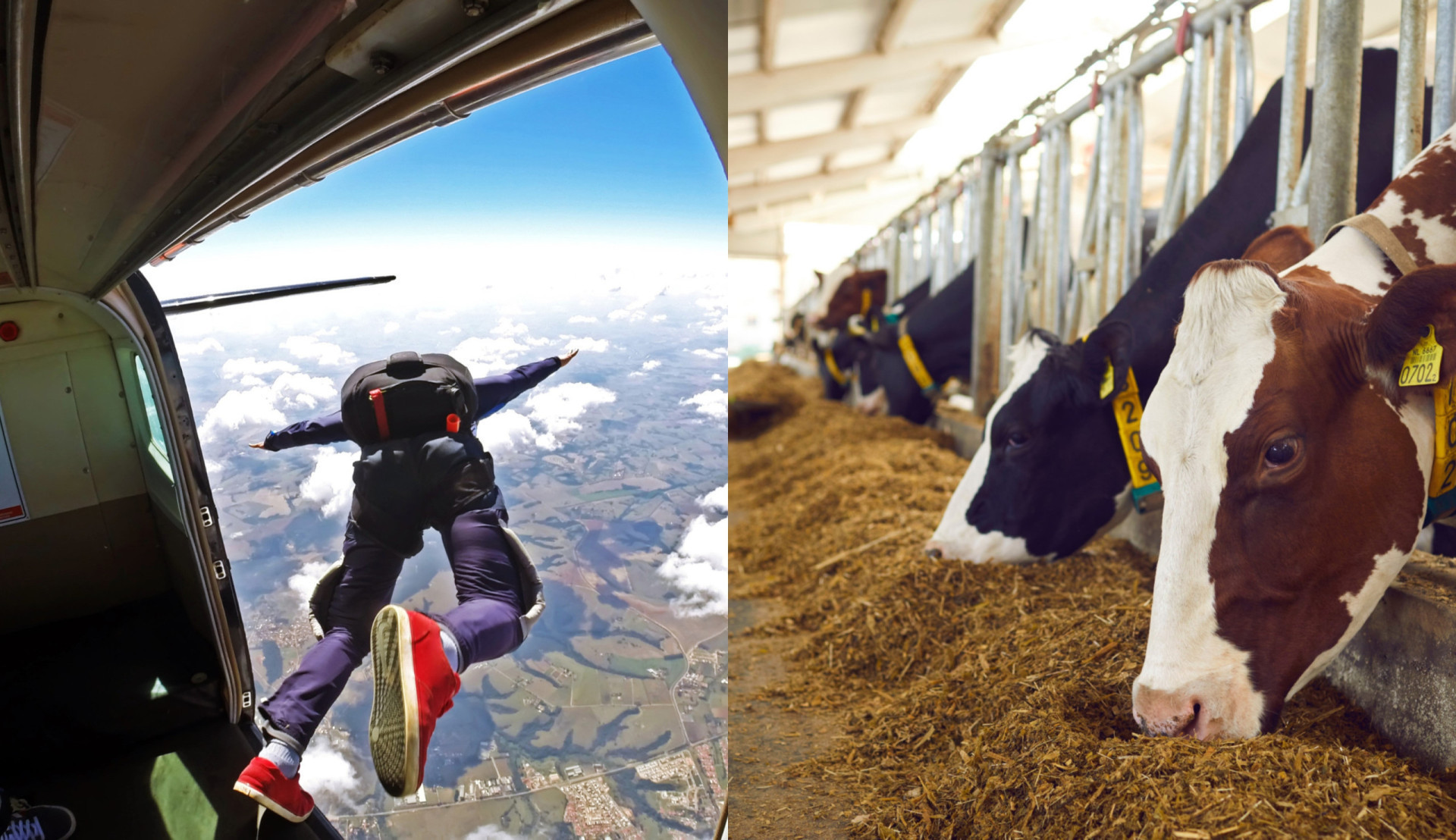 Lot De 500 Boulons Hexagonaux 1/4-20 X 1/2" Grade 8 Zinc Jaune - Fabriqué Aux USA, Neuf !