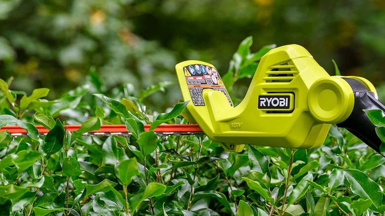 10 Of The Best Ryobi Tools For Clearing Brush & Small Trees