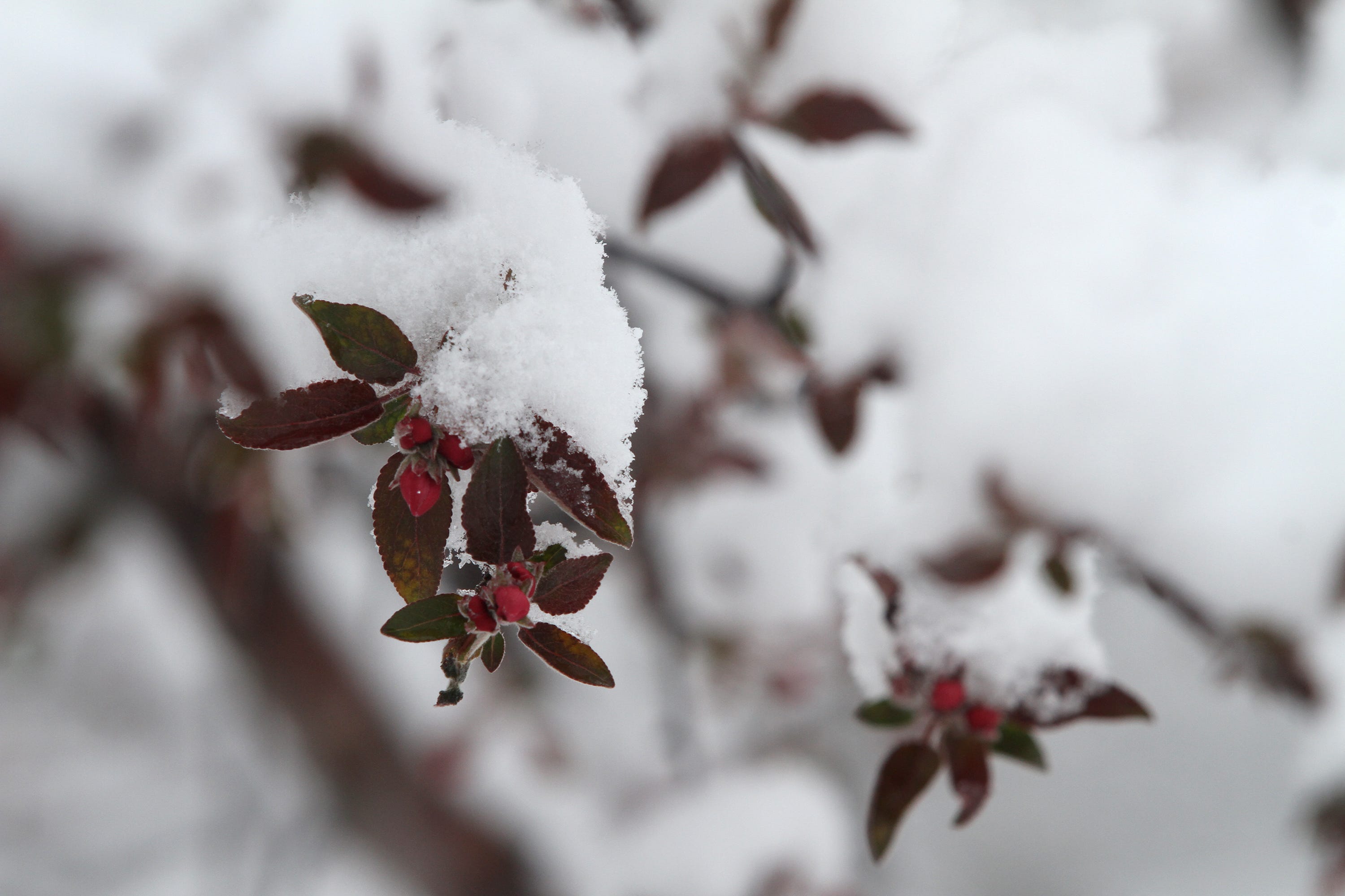 When does winter start? What to know about the 'bookend winter ...