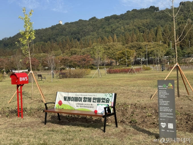 [단독]난지한강공원에 '변우석 숲' 생겼다…팬들, 생일 맞아 숲 기부