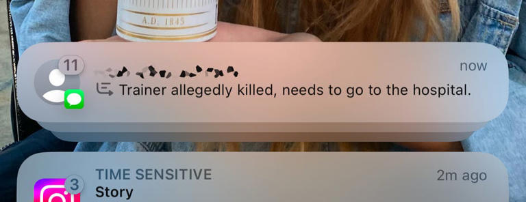 The trainer killed someone?? Screenshot by Nelson Aguilar/CNET