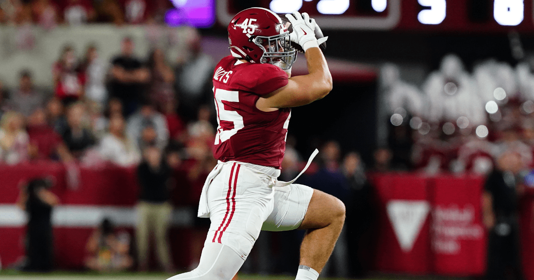 Alabama TE Robbie Ouzts (John David Mercer / USA TODAY Sports)