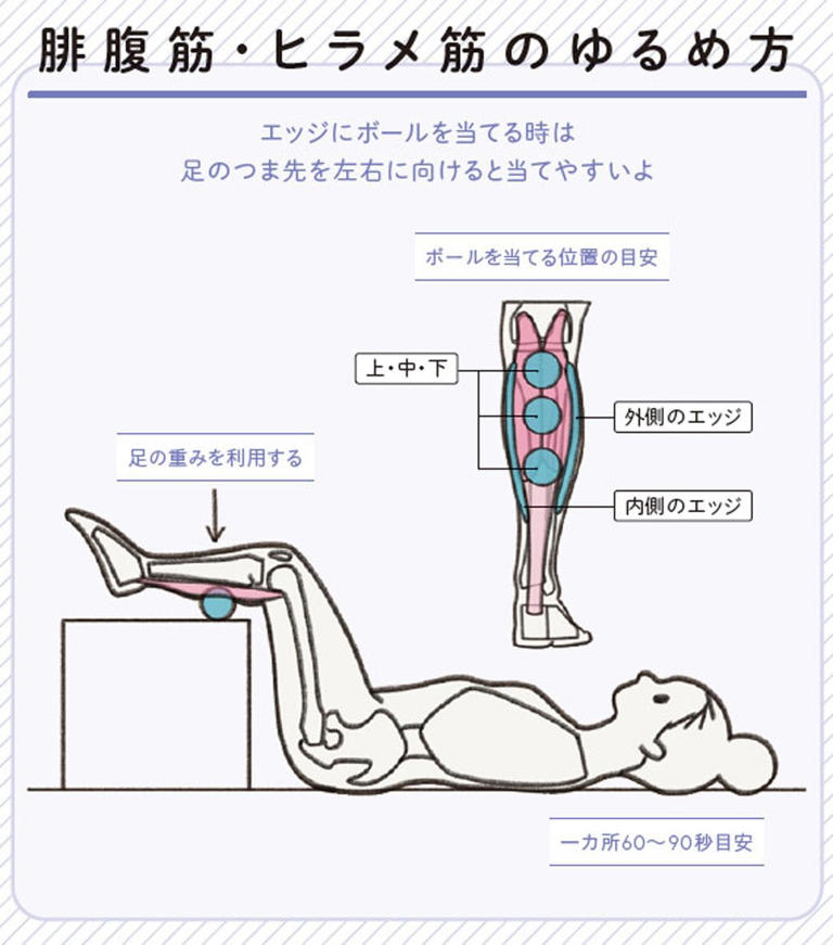 （画像：『世界一わかりやすい 筋肉のつながり図鑑セルフケア編』より）