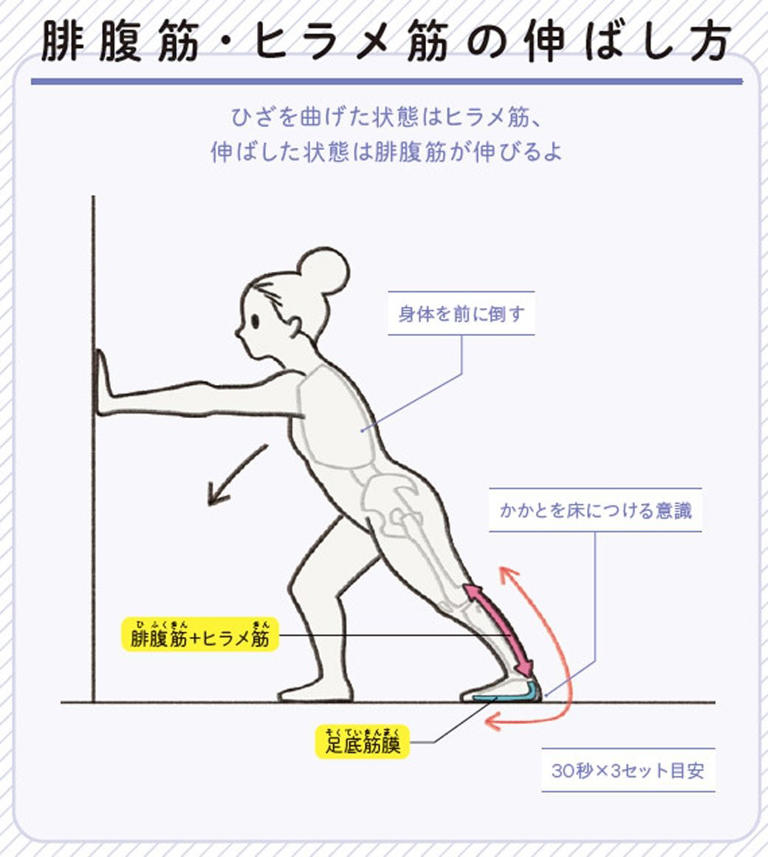 （画像：『世界一わかりやすい 筋肉のつながり図鑑セルフケア編』より）