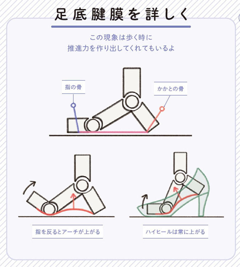 （画像：『世界一わかりやすい 筋肉のつながり図鑑セルフケア編』より）