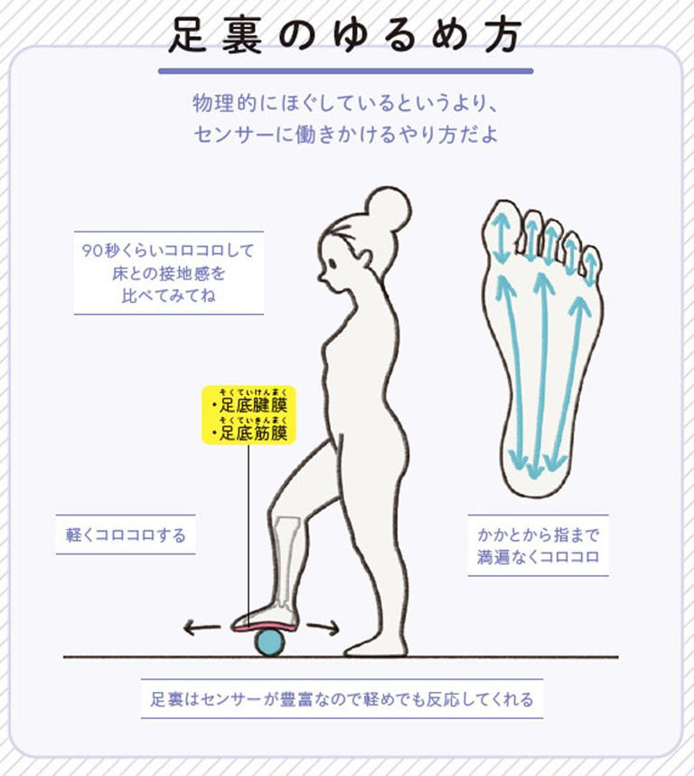 （画像：『世界一わかりやすい 筋肉のつながり図鑑セルフケア編』より）